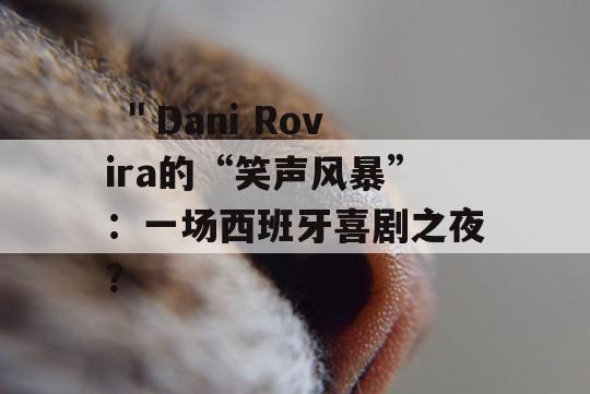  ＂Dani Rovira的“笑声风暴”：一场西班牙喜剧之夜？