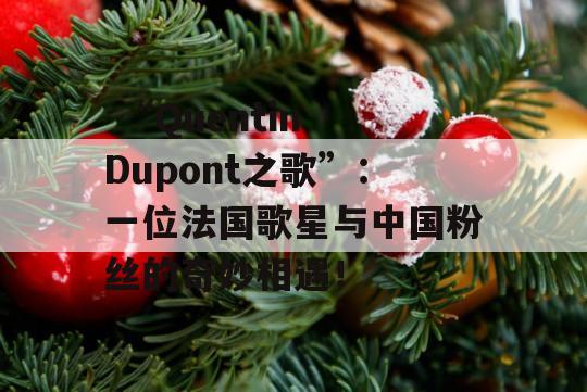  “Quentin Dupont之歌”：一位法国歌星与中国粉丝的奇妙相遇！