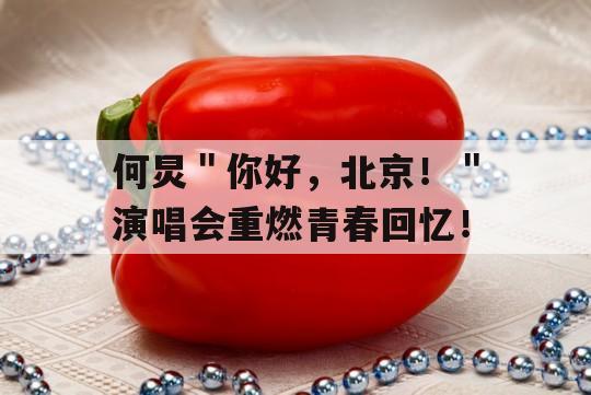 何炅＂你好，北京！＂演唱会重燃青春回忆！